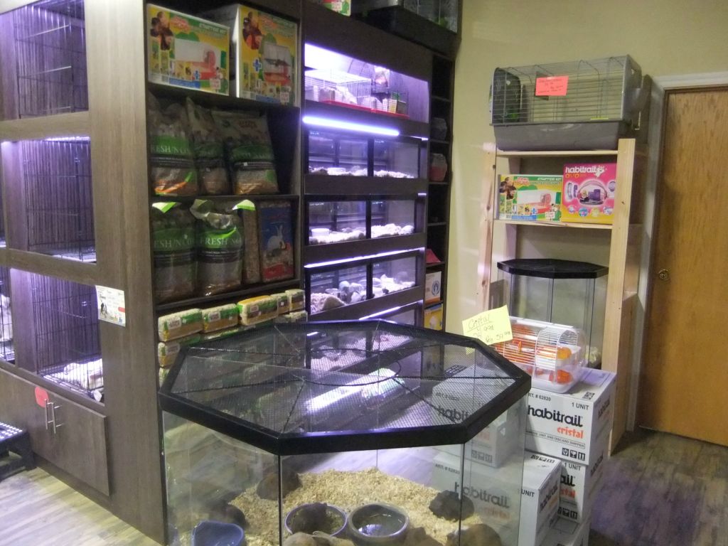 Animazoo — photo 1