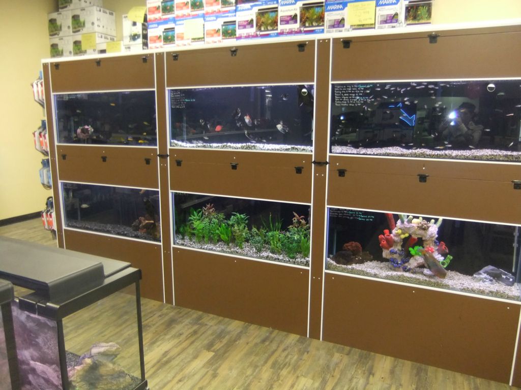 Animazoo — photo 10
