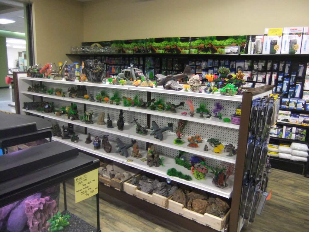 Animazoo — photo 2