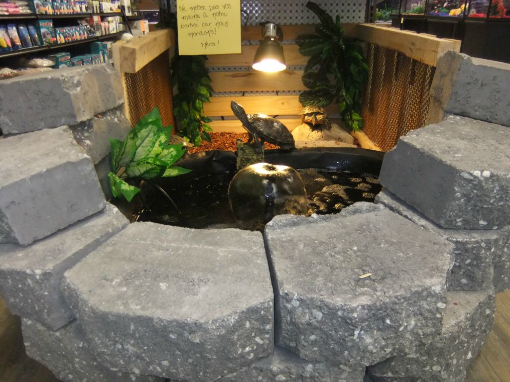Animazoo — photo 6