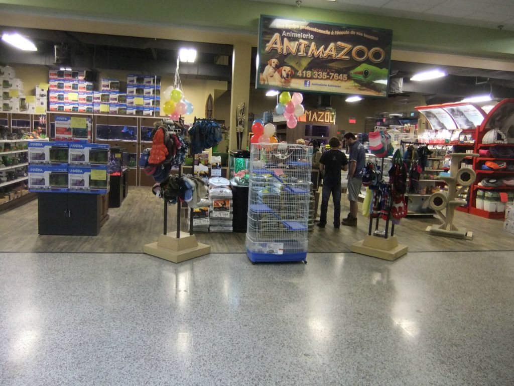 Animazoo — photo 14